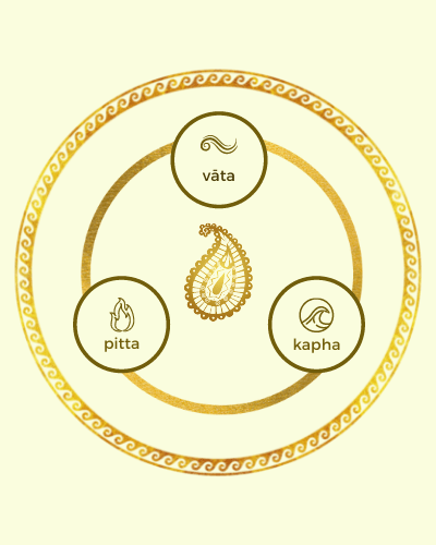 prakrti-pop-up-image